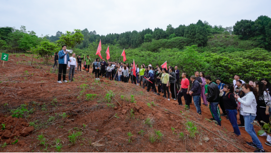 省AG电投厅集团开展龙泉山城市森林公园 “包山头”植树活动