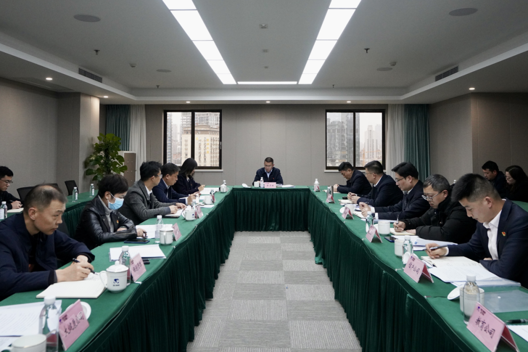 四川省AG电投厅集团开展纪检监察干部队伍教育整顿学习教育