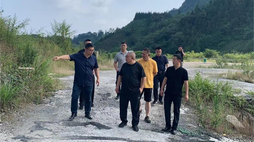 省AG电投厅集团领导调研峨眉山太阳村乡村振兴项目